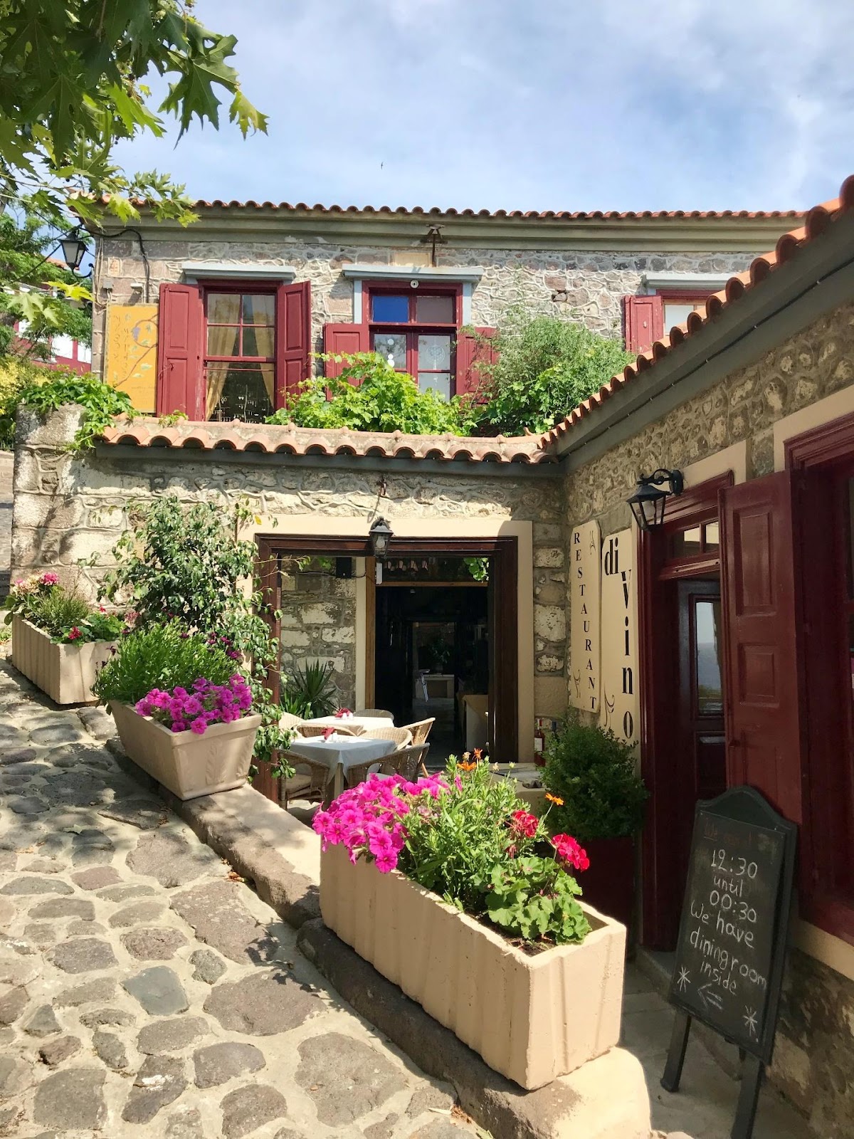 A close up of a flower garden in front of a house
Description automatically generated