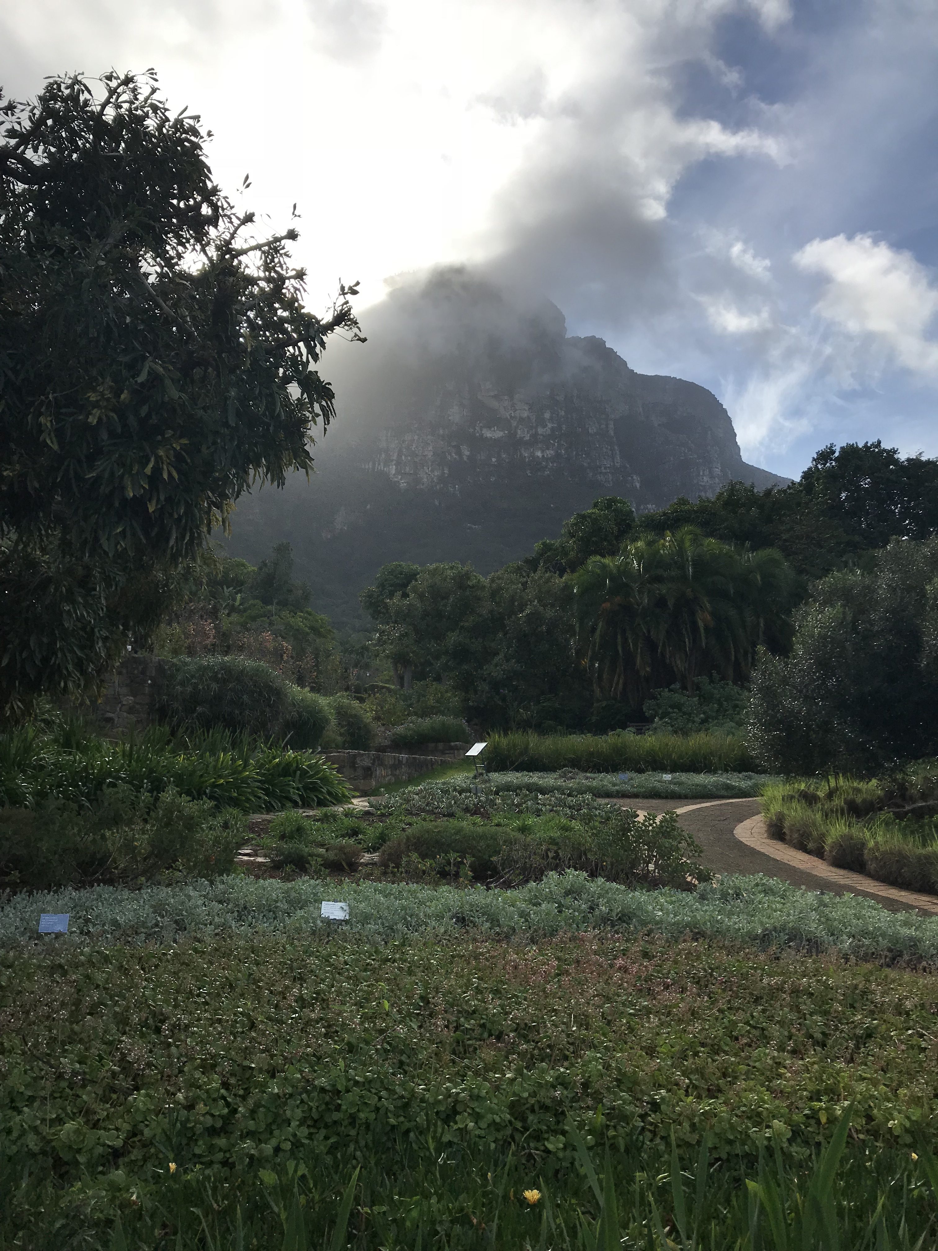 Experiencing Cape Town's awesome beauty